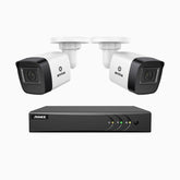 EL200 - Kit de 2 cámaras de vigilancia 1080p con grabador de 8 canales, DVR inteligente con detección de humanos y vehículos, visión nocturna por infrarrojos de 20 metros, señal de salida 4-en-1, IP67