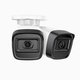 C300 - 2 X Cámara de vigilancia IP PoE exterior de 2K 3MP, visión nocturna EXIR 2.0, detección de movimiento, H.265+, impermeabilidad IP67