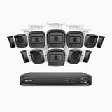H300 - Kit de 12 cámaras de vigilancia PoE de 3MP con videograbador NVR de 16 canales, visión nocturna EXIR 2.0, detección de movimiento, H.265+, impermeabilidad IP67